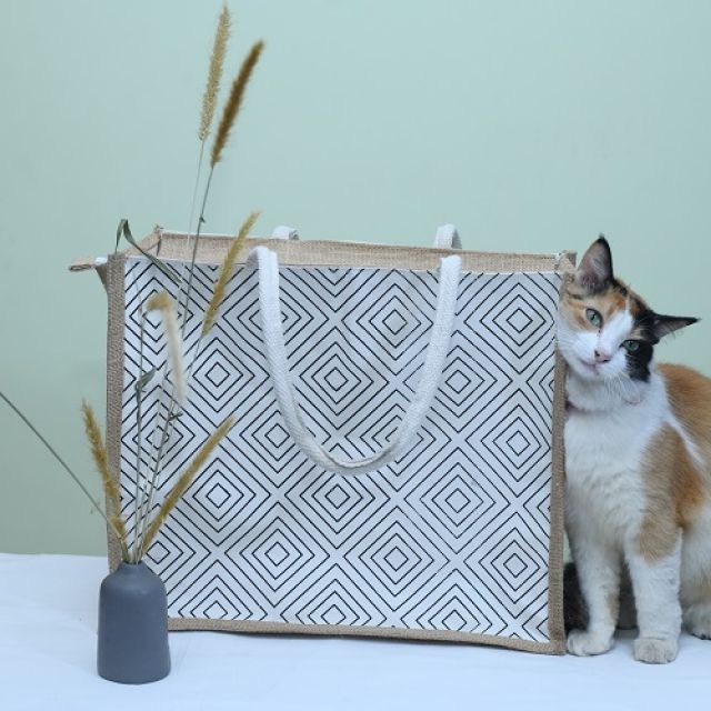 Women Tote Bag